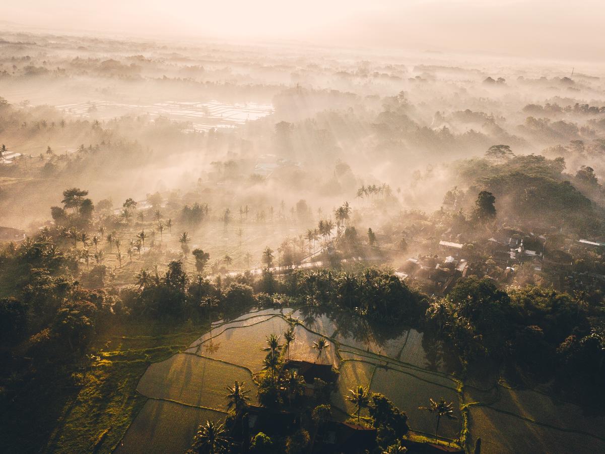 Tanah Gajah, A Resort By Hadiprana Ubud Exterior foto